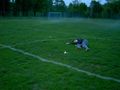 Illu lying on ground.JPG