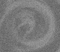 Thumbnail for version as of 08:42, 31 May 2008