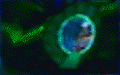 Thumbnail for version as of 16:17, 28 August 2006