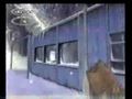 Thumbnail for version as of 19:29, 21 July 2006